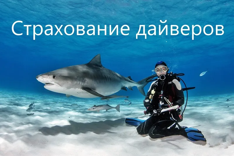 Страхование дайверов