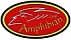 Amphibian Gear